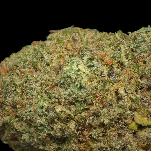 Crystal Coma