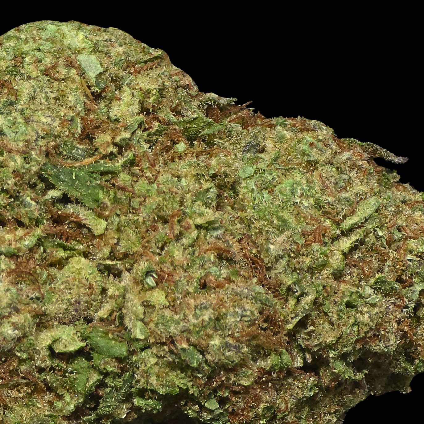 Modified Mint
