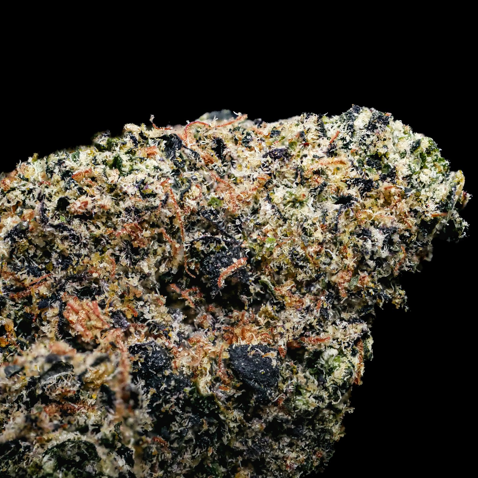 Illuminati OG