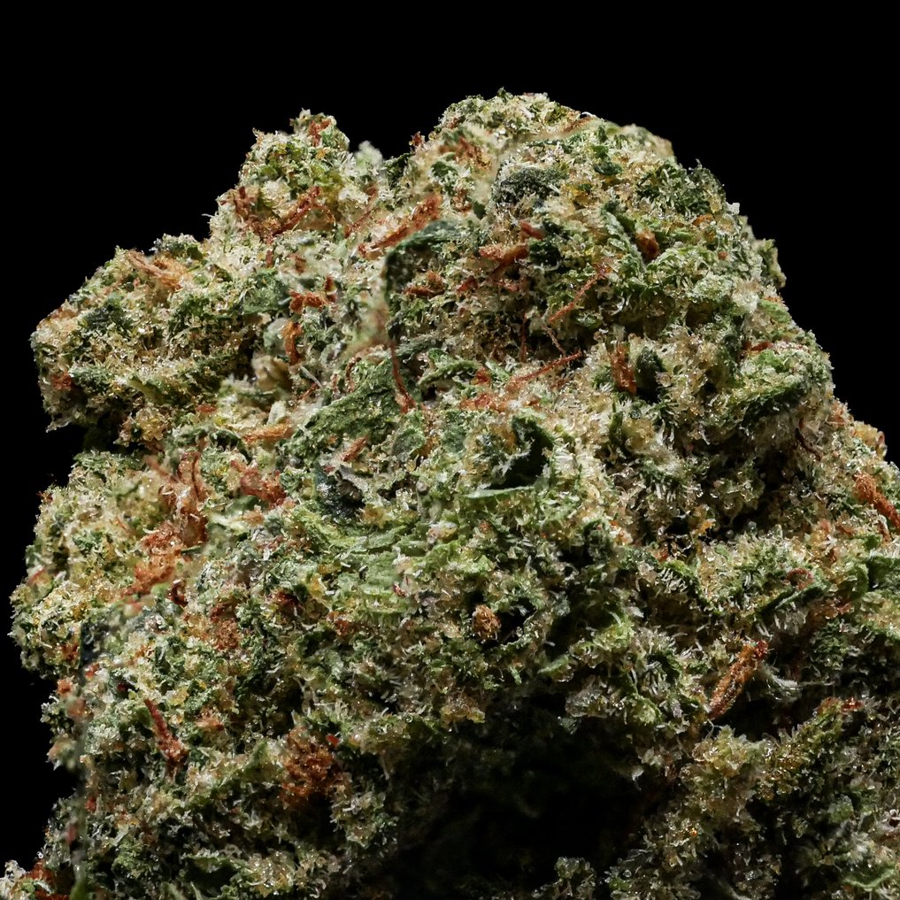 Mendo Breath