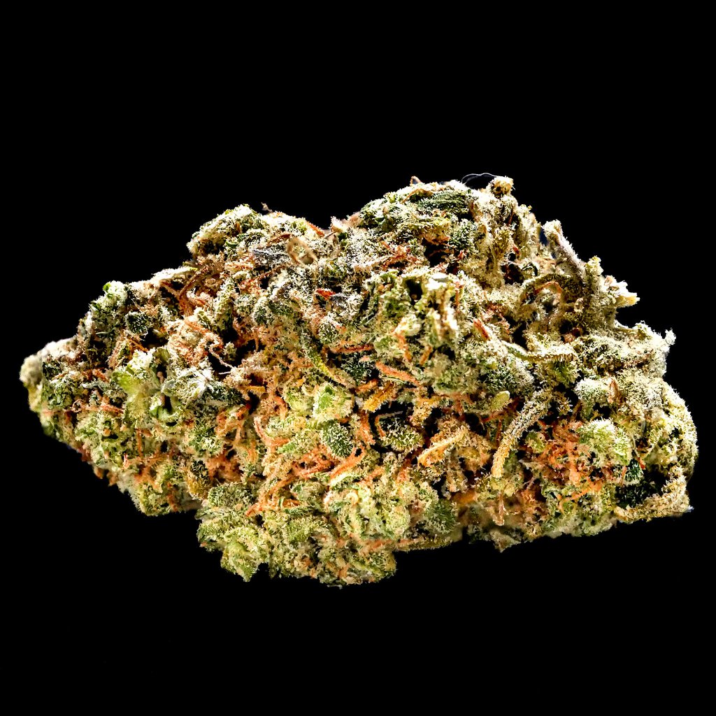 Devil's Fruit