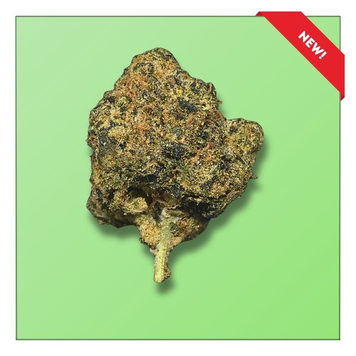 Gumdrop Haze