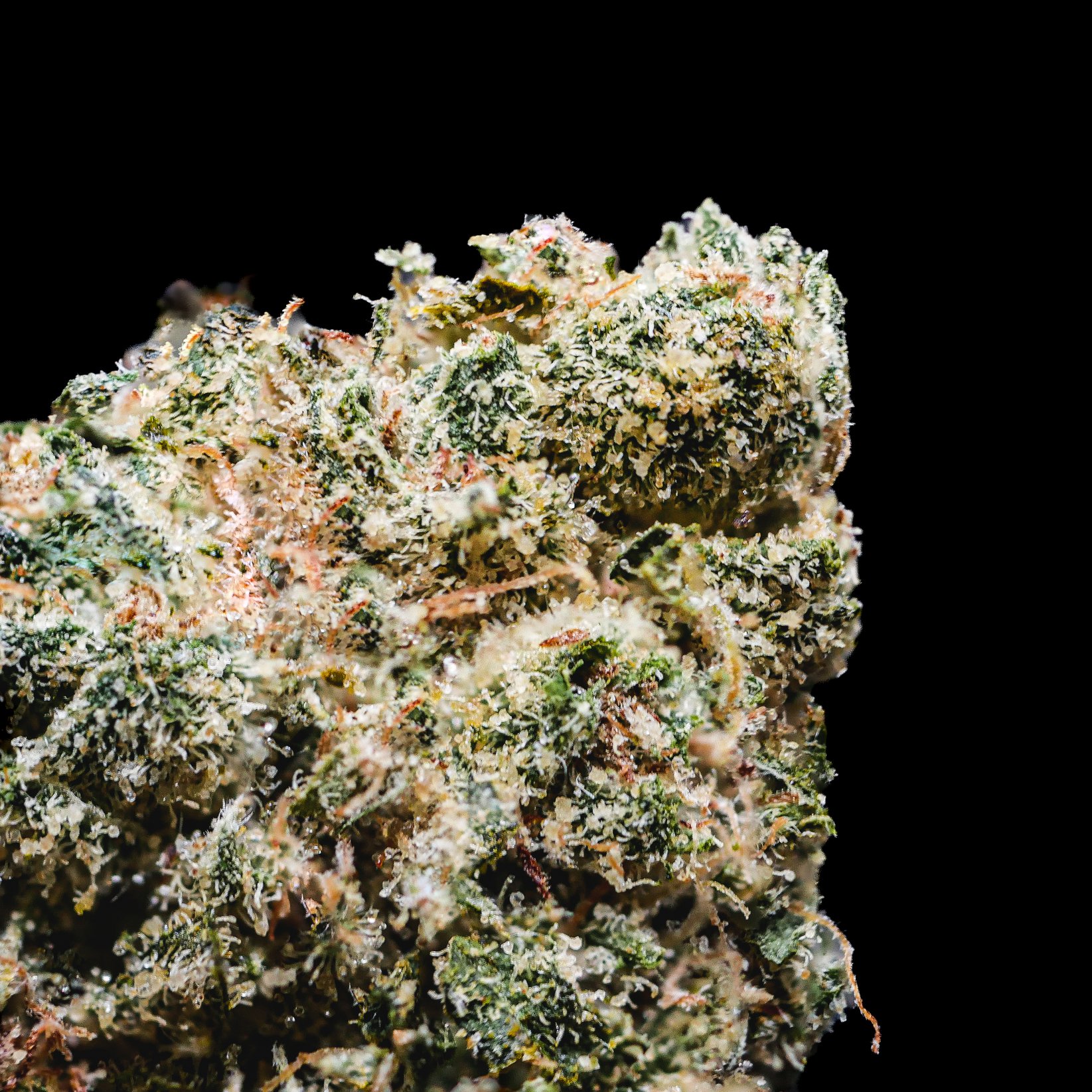 Jet Fuel