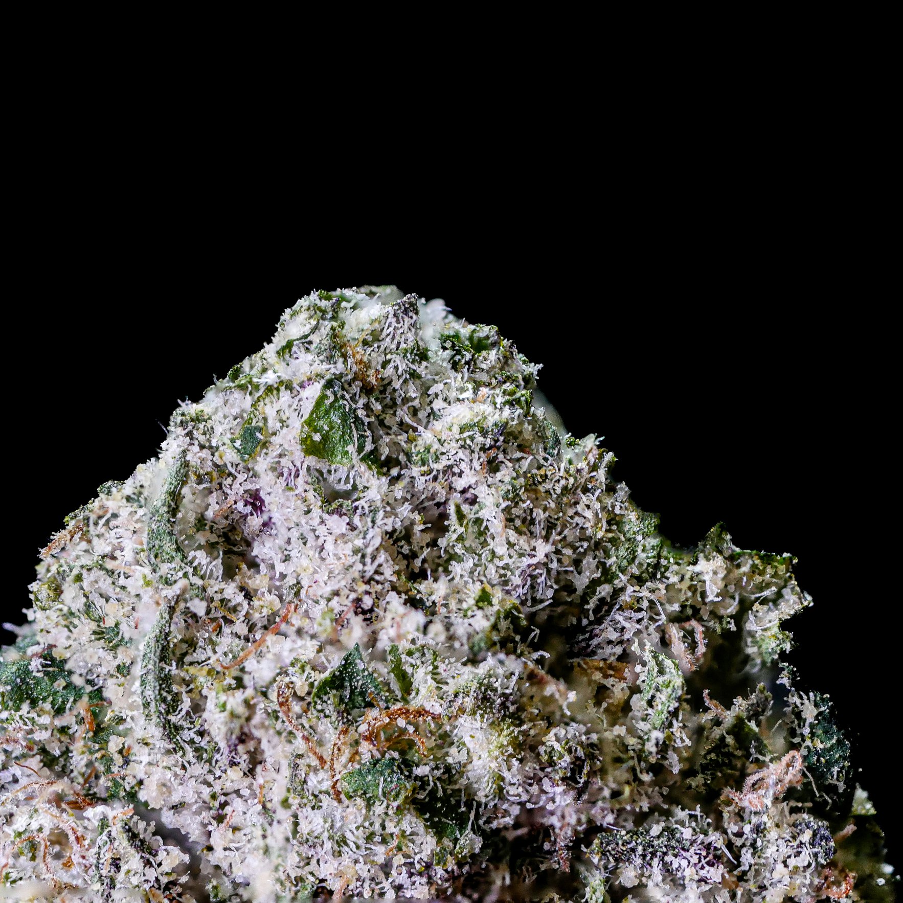 Georgia Peach Snow