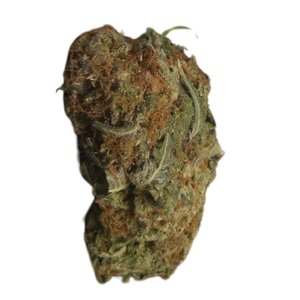 Platinum Bubba