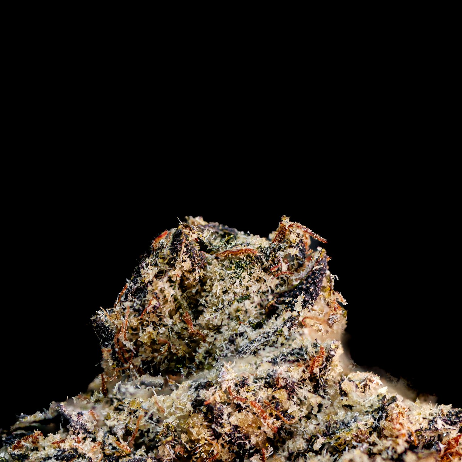 Cherry Bananaz