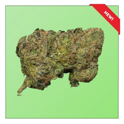 White Raspberry Gelato