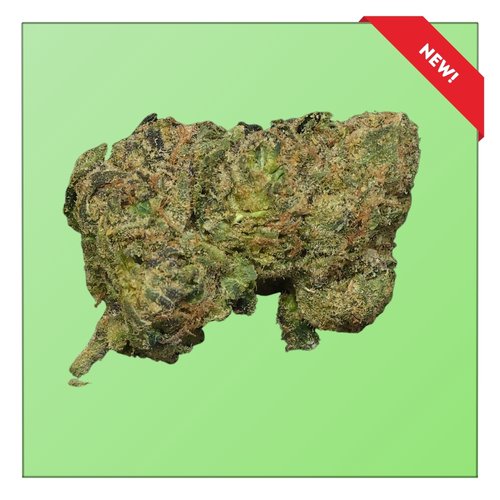 White Raspberry Gelato